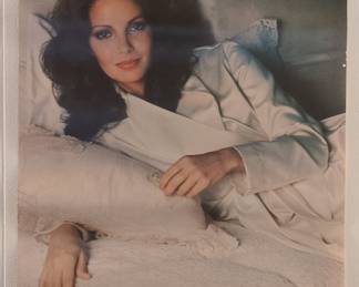Vintage Jaclyn Smith "Charlie's Angels" Pro Arts Poster