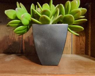 Modernist Tapered Ceramic Planter with Artificial Jade Plant