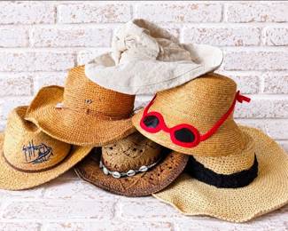 Designer Straw & Sun Hat Collection – Guy Harvey, Theodora & Callan, Kate Spade, Wallaroo & More