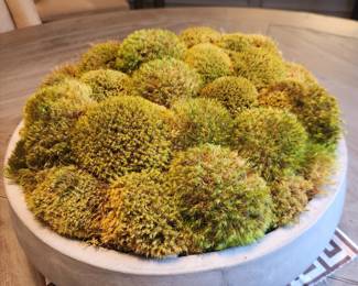 Moss Decor
