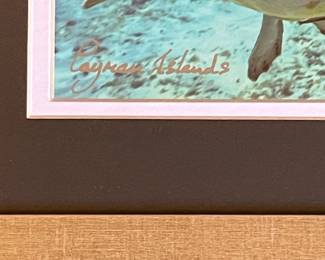 Mike Florence Cayman Islands Sea Turtle Print
