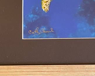 Cathy Church Sea Turtle Photographic Print