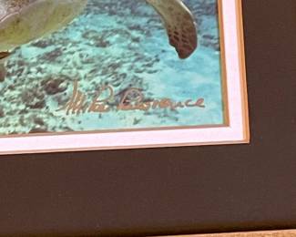 Mike Florence Cayman Islands Sea Turtle Print