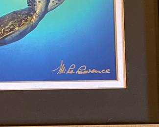 Mike Lawrence Cayman Islands Sea Turtle Print