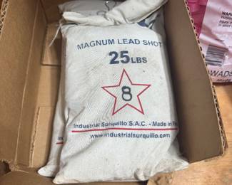 Lead shot for loading