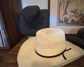 Cowboy hats