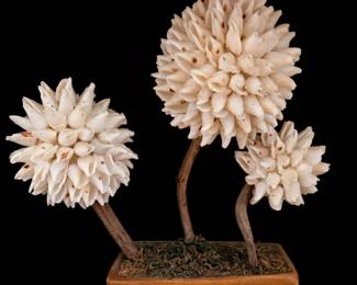 Shell art