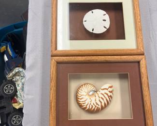 Seaside Decor