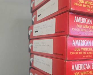 Still have some Ammo 22, 308, 556, and some others 
