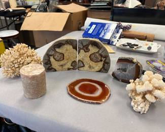 septarian dragons egg bookends and some coral 