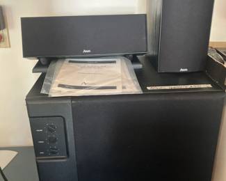 Atlantic 250 system speakers