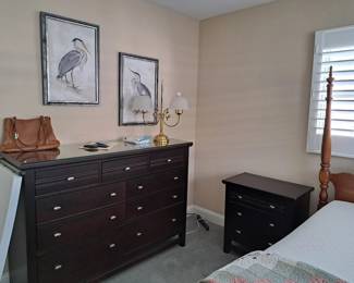 DRESSER +MATCHING NIGHT STAND,  TROPICAL BIRD PICTURES