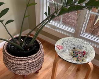 Big ZZ plant and Ed Hardy table