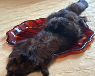 Fox Fur Stole 