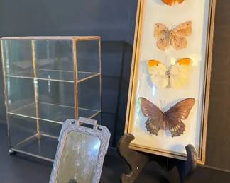 FHM198 - Framed Butterflies, Detailed Frame from W Germany, And Small Glass Display Cabinet / Case
