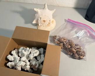 FHM029 - Collection of Vintage Natural Marine Specimen Collection Shells & Corals