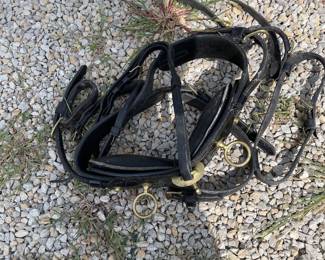 Pony leather harness set