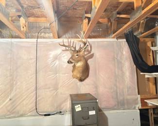 Deer Mount