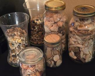 Collection of Decorative Glass Jars with Seashells and River Stones