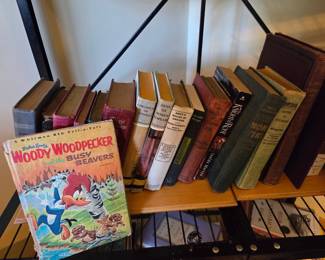 Collection of Vintage Children's and Classic Literature Books