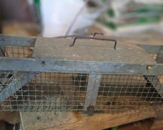 Havahart Live Animal Cage Trap