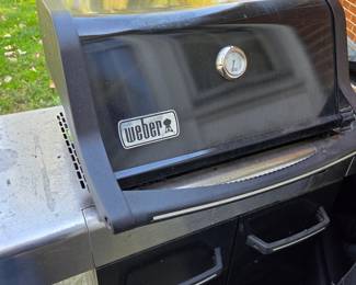 Weber Genesis E-310 Gas Grill