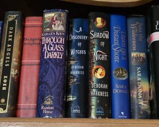 Collection of Historical and Contemporary Fiction Novels