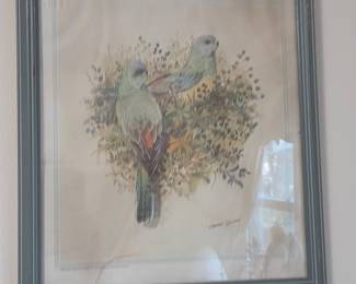 Vintage John Gould Style Red-Rumped Parrot Print