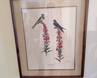 Lithograph Print of Barn Swallows by Ray Harm