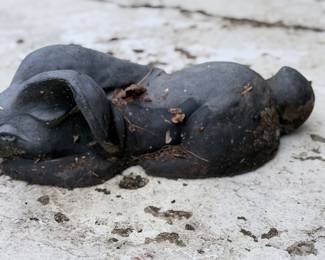 Dark Stone Rabbit