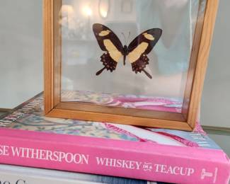 Preserved butterfly art