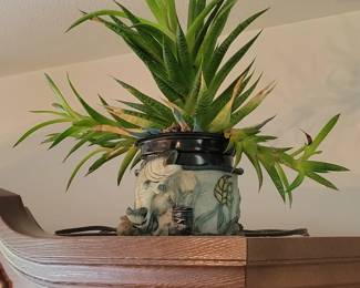 plants