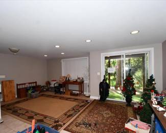 528Basement