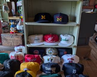 Thrillhound Vintage, 8793 Alden Nash Ave, SE, Alto