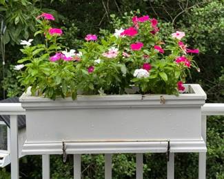 Five window box planters with live planted flowers