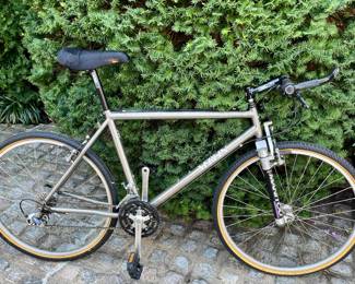 Merlin 3-2.5 Titanium bike