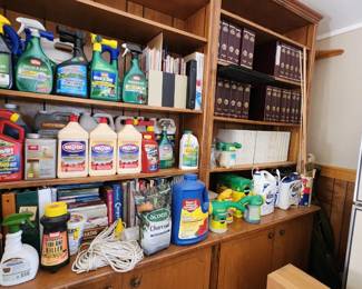 cleaners books