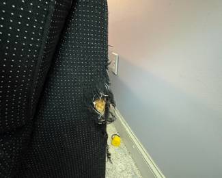 O16 - FREE. Sofa with Cat Damage. Measures 87.5” W x 36” D x 30” Tall.