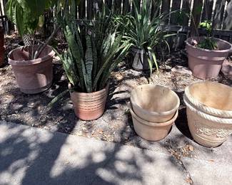 variety terracotta planters