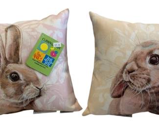 363 - 2 Climaweave Indoor/Outdoor Pillows - 10 x 10