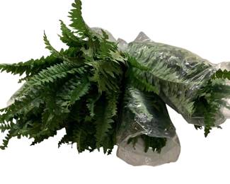 850 - Artificial Fern Stems - 20" Tall
