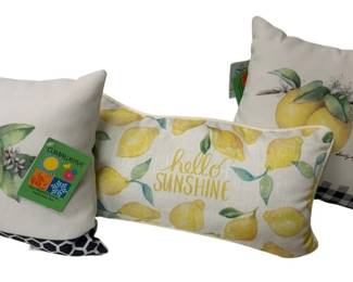 289 - 3 Climaweave Indoor/Outdoor Pillows - 16 x 8