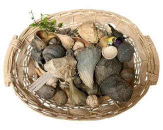 1281 - Basket w/ Seashells