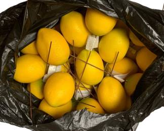 1240 - Lot of Artificial Lemons