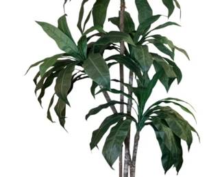 145 - Natural Artificial Dracaena Floor Plant in Planter (Description): 77 x 31 x 32