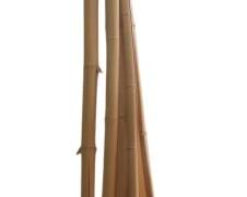 320 - Lot of Assorted Bamboo Sticks