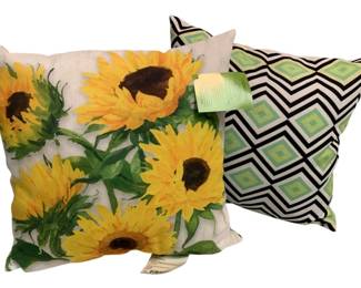 800 - 2 Climaweave Indoor/Outdoor Pillows - 16 x 16