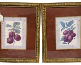 1373 - 2 Framed Prints - 23.5 x 20 ea