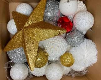 1120 - 20 Assorted Ornaments and 1 Gold Star