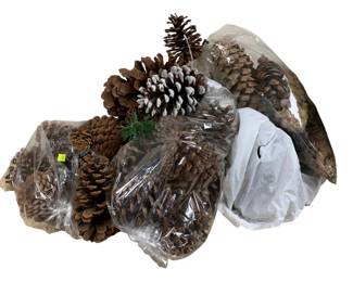 942 - Assorted Pinecones